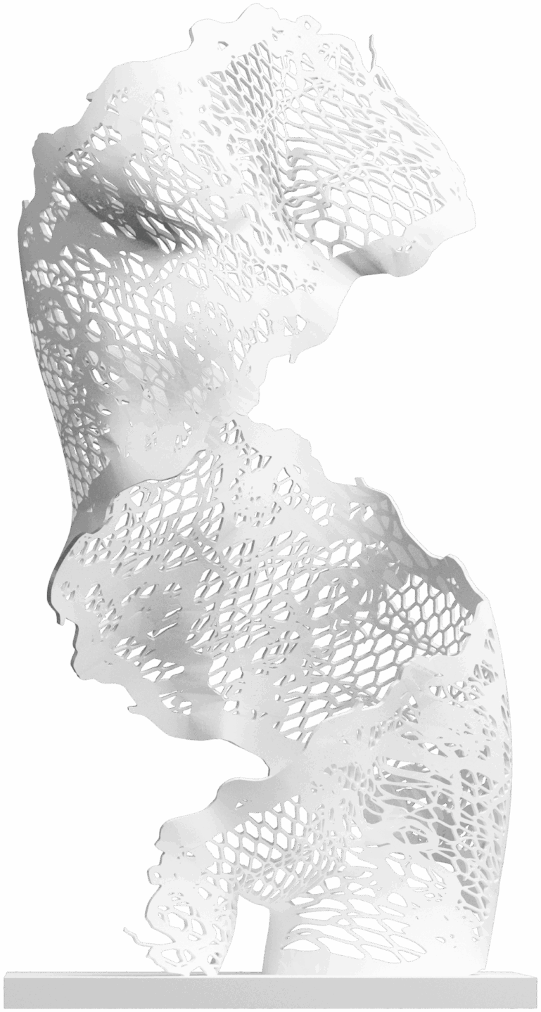 Immortelle Dentelle