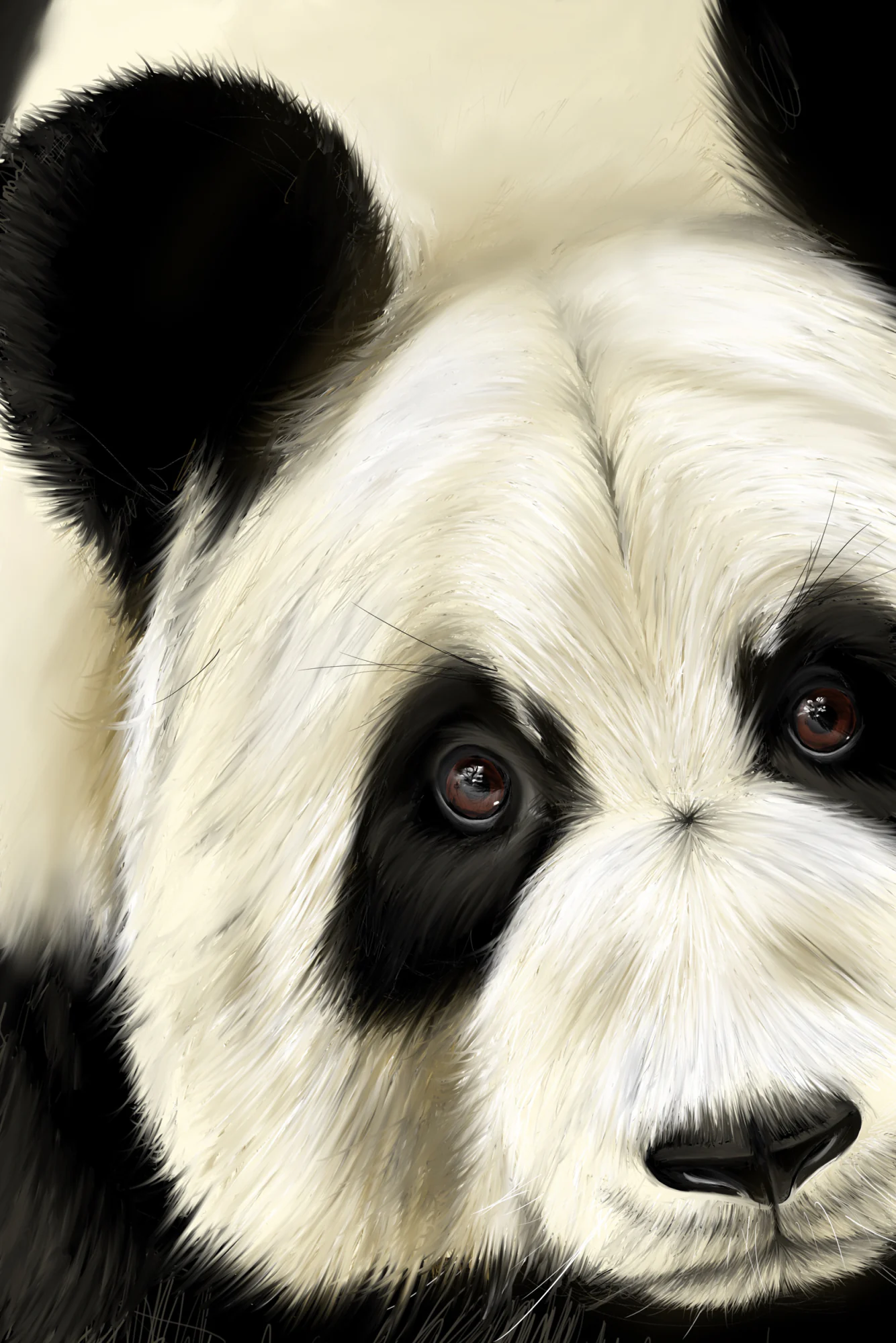 Panda en très gros plan, une oreille et deux yeux bruns face au spectateur, fond crème. Tableau en caisse américaine.