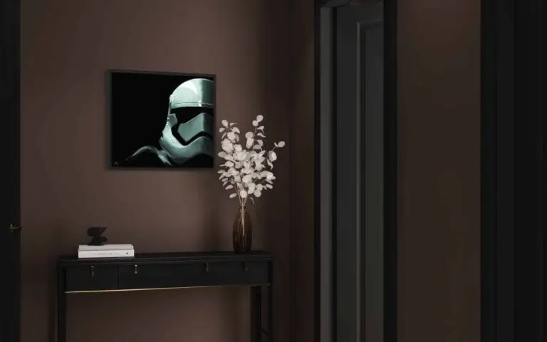 Stormtrooper, vue 2