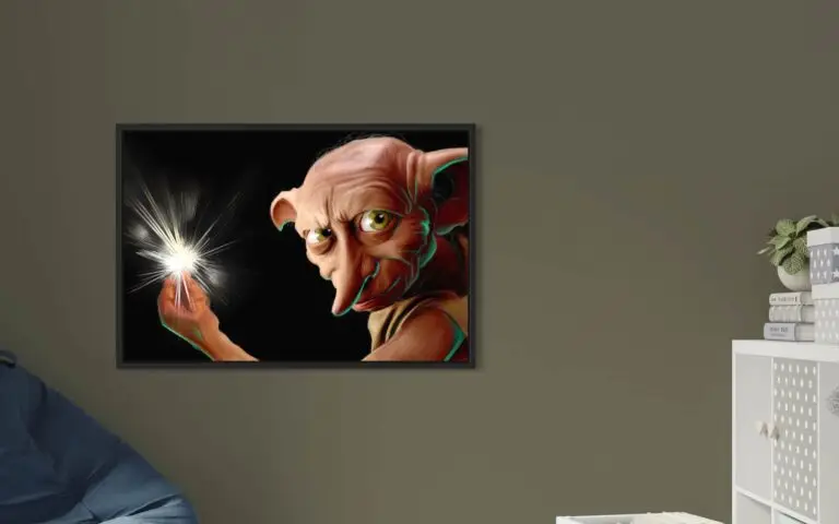 Dobby, vue 1