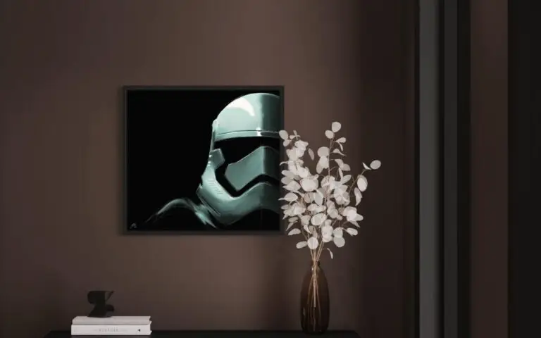 Stormtrooper, vue 1