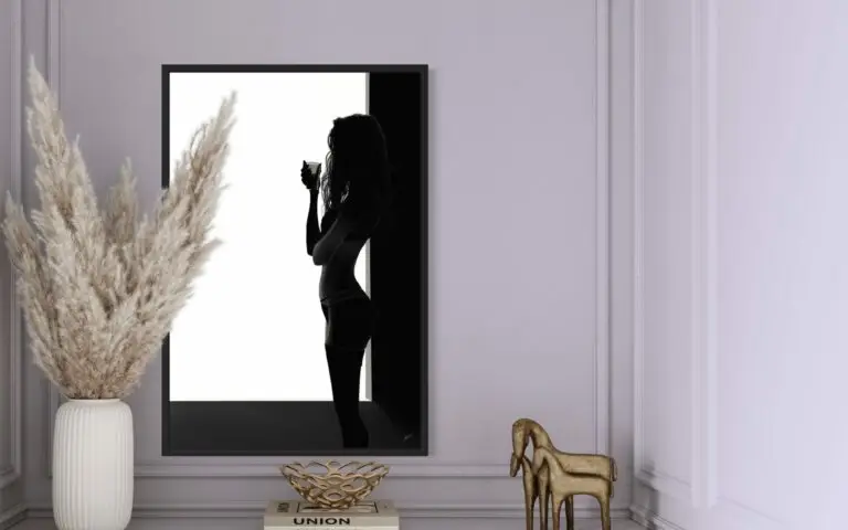 Shadow 1, vue 2