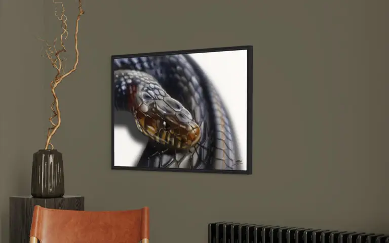 Snake, vue 1