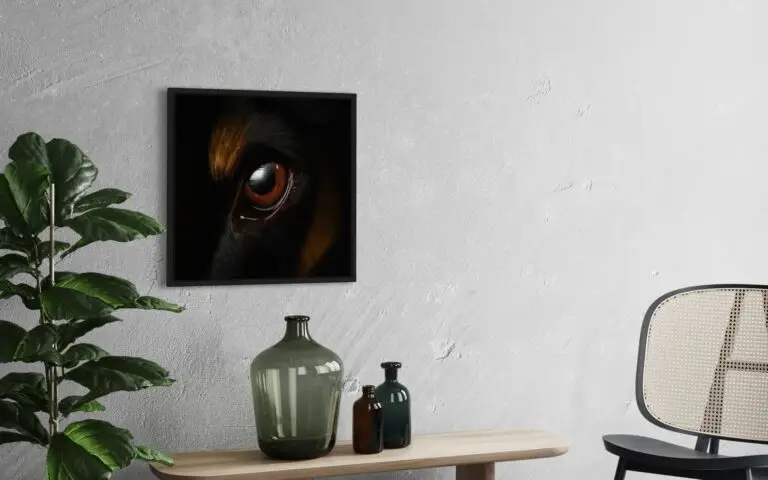 Eye Doberman, vue 1