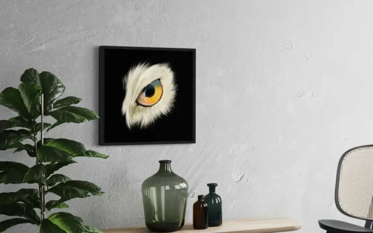 Eye Owl, vue 1