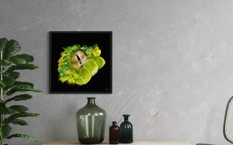 Eye Snake, vue 1