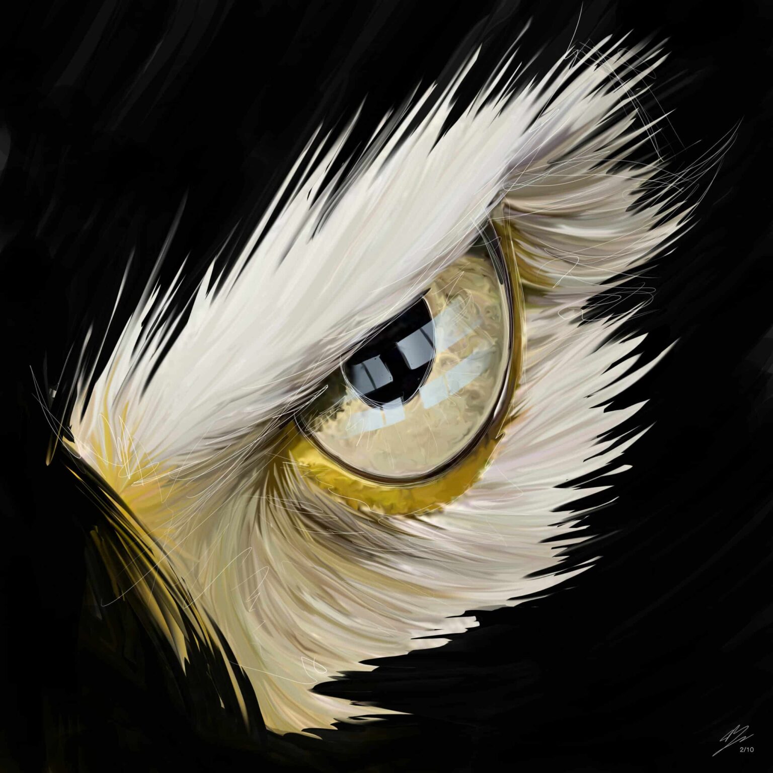 Œil d'aigle au plumage blanc, iris paille cerclé de peau jaune, sourcil de plumes, fond noir.