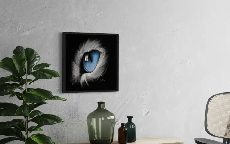 Eye Cat, vue 2