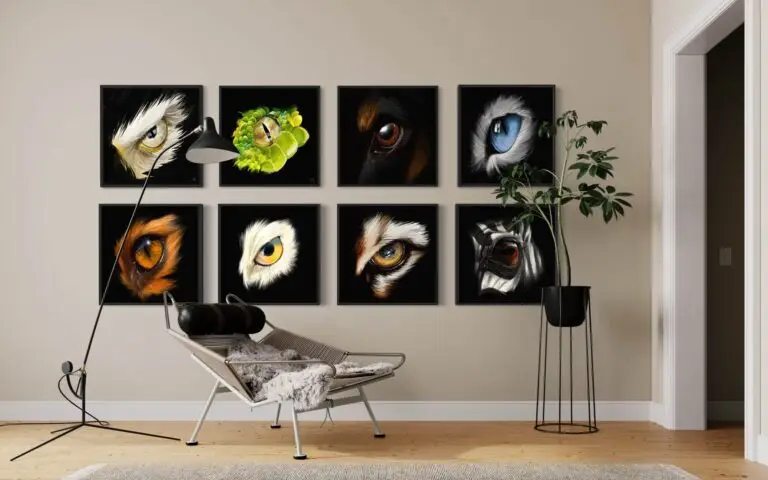 Eye Eagle, vue 3