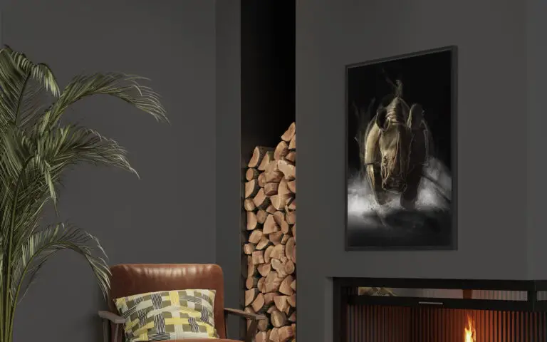 Rhino, vue 2