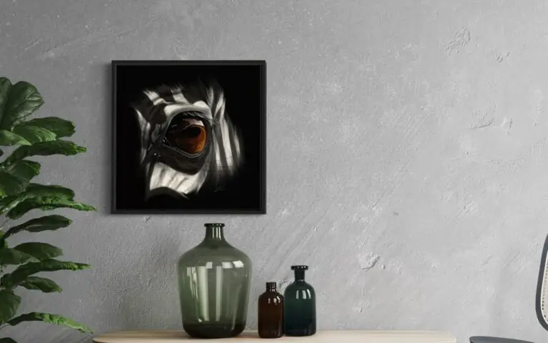 Eye Zebra, vue 1