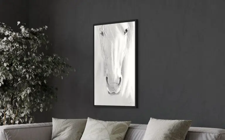 Horse, vue 1