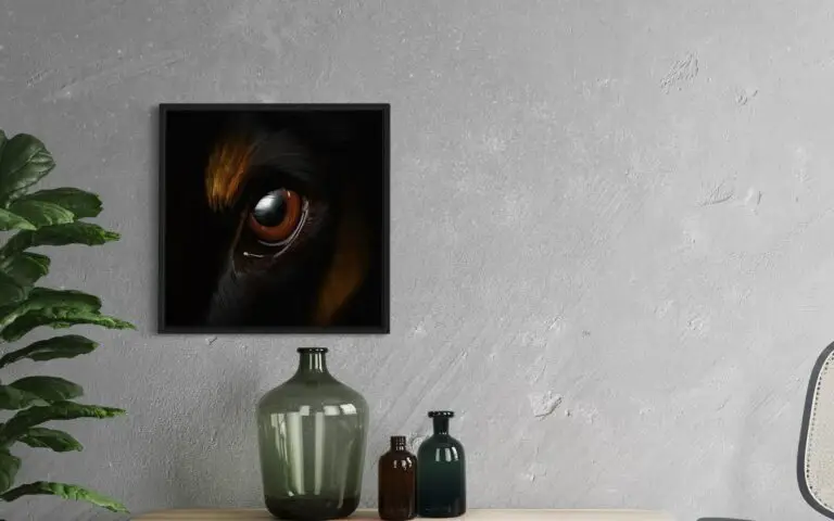 Eye Doberman, vue 2