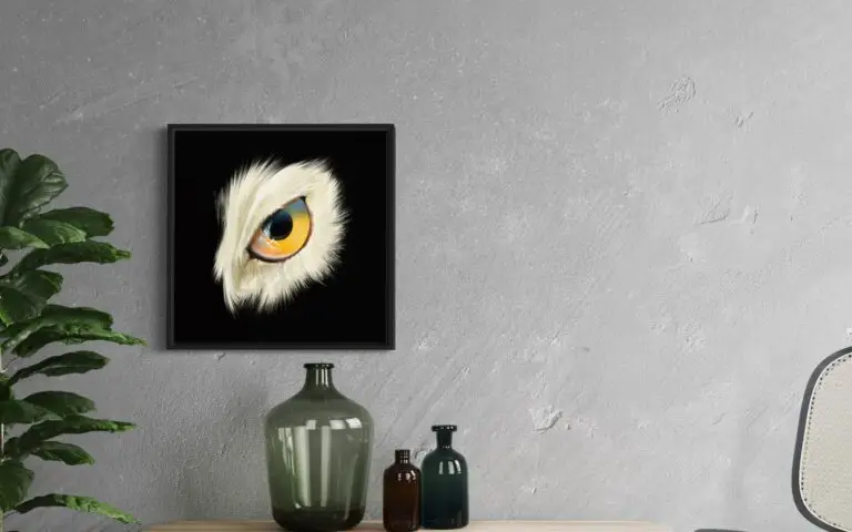 Eye Owl, vue 2