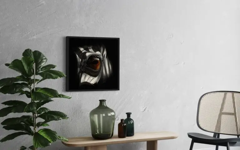 Eye Zebra, vue 2